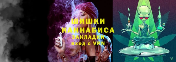 стафф Новокубанск