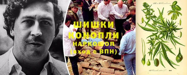 стафф Новокубанск