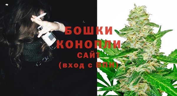 стафф Новокубанск