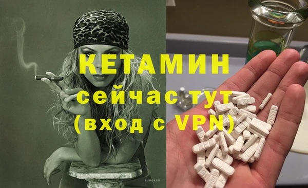 стафф Новокубанск