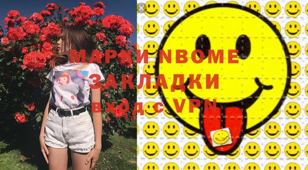 стафф Новокубанск