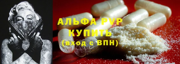 стафф Новокубанск