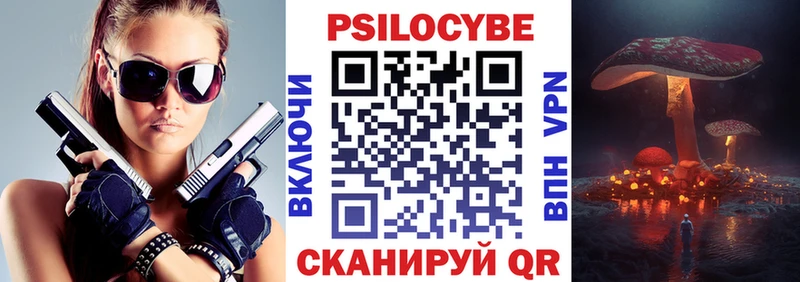 Галлюциногенные грибы Psilocybe  Павловск 